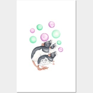 Rats and Bubbles Posters and Art